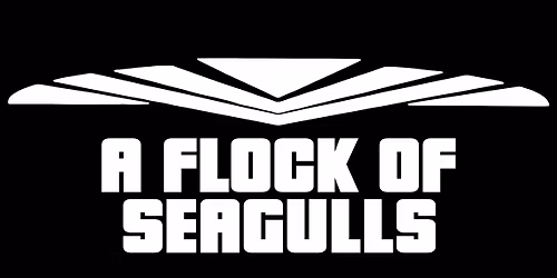 A Flock Of Seagulls