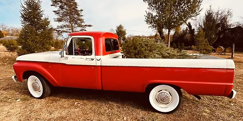 Family Christmas Photo Opportunity