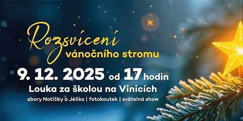 Rozsv\u00edcen\u00ed v\u00e1no\u010dn\u00edho stromu na Vinic\u00edch