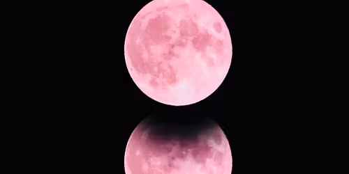 Wolf Heart Pack\u2026 Pink Moon Drum Circle 