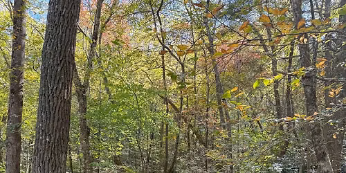 Beasley Knob OHV Ride!