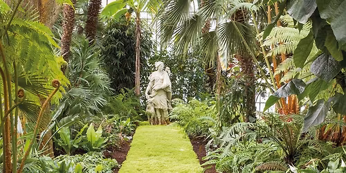 Koninklijke Serres van Laken - VOLZET!!!