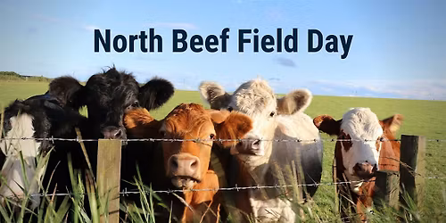 North Beef Field Day