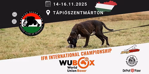WUBOX IFH International Championship 2025