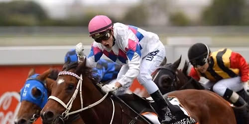 Manning Vally Race Club @ Taree R2 and R8
