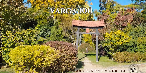 Varga 100