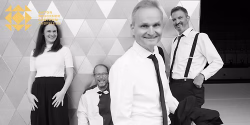 die zebras im Weihnachtsstress