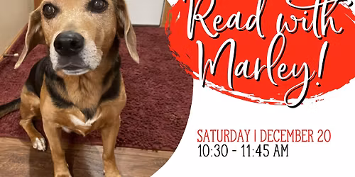 Reading Dog - Marley
