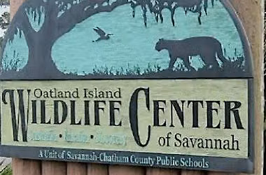Family Adventure: Oatland Island Wildlife Discovery
