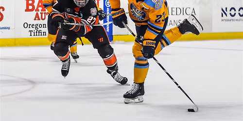 Toledo Walleye at Kansas City Mavericks at Cable Dahmer Arena