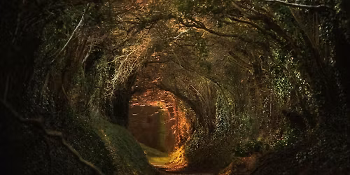 Seattle Opera: Daphne In Concert