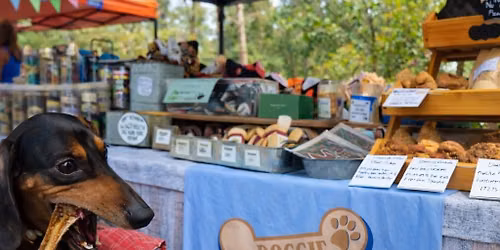 Doggie Cakes @ Wiregrass Wednesday night markets