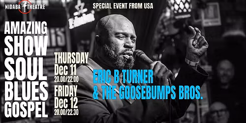 ERIC B TURNER & the GOOSEBUMPS BROTHERS