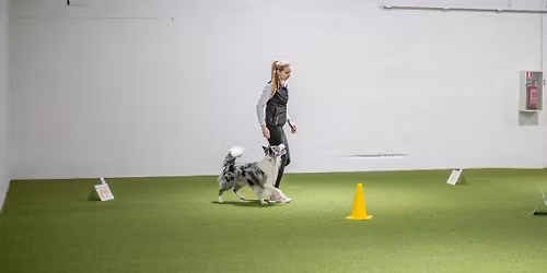 AMETLIK Rallikuulekuse v\u00f5istlus 18.04.2026