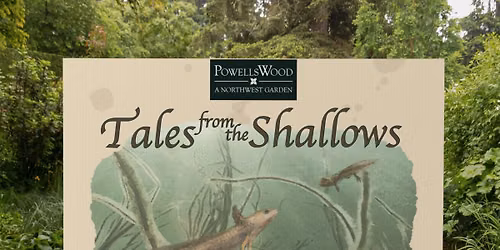 Story Walk Launch Party - Tales from the Shallows