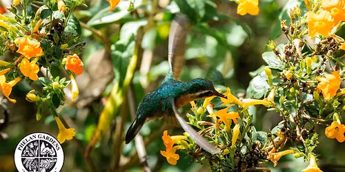 Gardening for the Birds (A Kid's Class)