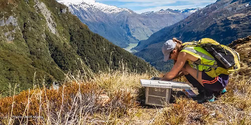 Southern Regional Predator Free Hui