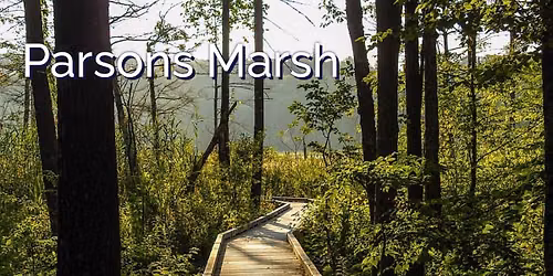 Housatonic Heritage Explore the Fauna and Flora of the Parsons Marsh Reserve