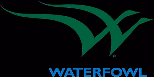 FV @ Waterfowl Festival 