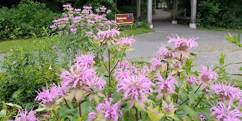 Seed Starting Workshop