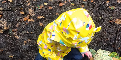 Woodland Toddlers 