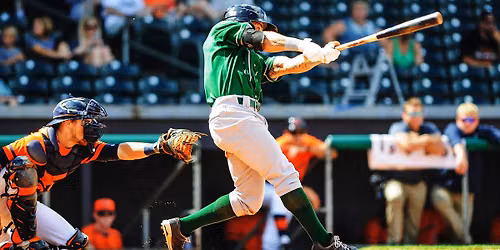 Lansing Lugnuts at Great Lakes Loons
