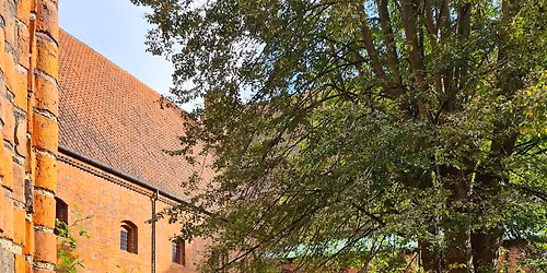 Byvandring i 1400-tallets Helsing\u00f8r - K\u00f8bstaden