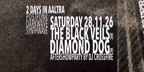 aaltraminor Tag 2 mit The Black Veils (I) und Diamond Dog (F)