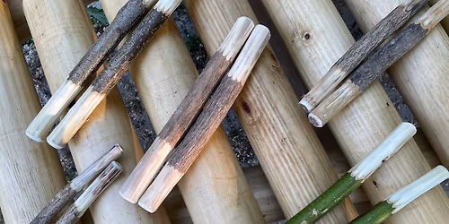 B\u00c9LAM\u0170HELY - T\u00d6RZSI R\u00cdTUSOK