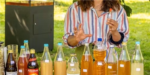 Fermenteren: Dranken \/ Kombucha