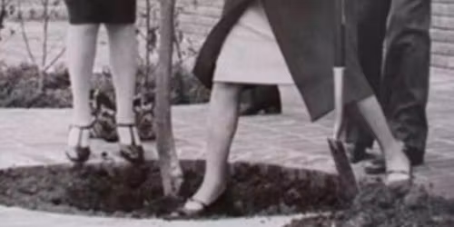 Jeanette\u2019s Christmas Gifts