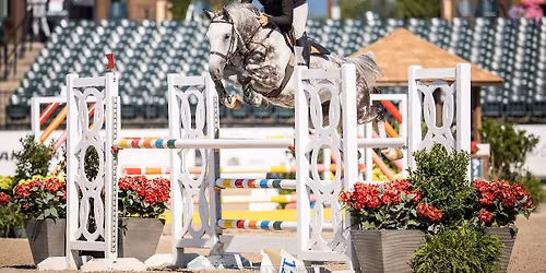 Madison Kondracki clinic