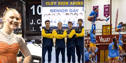 Parking LIU Sharks at Missouri State Bears Mens Basketball