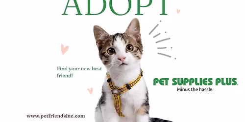 Cat & Kitten Adoption Event (PSP Irwin)