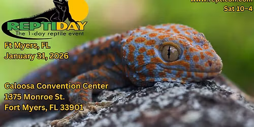 Reptiday Ft Myers
