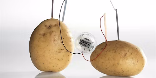 STEM After School: Potato Clock (8-12 years)