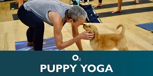 Puppy Yoga in Carrboro | Benefits Spence K9 Service Dogs
