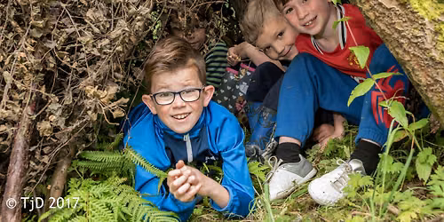 Woodland Survival at The Hive - Thursday 27th August 2026