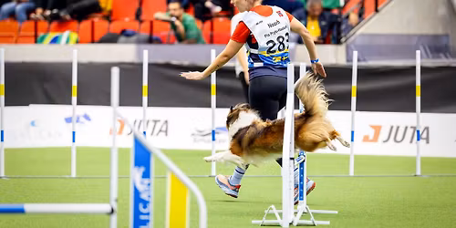 Partitrening v\u00e5ren 2026 m\/ Pia Prytz 