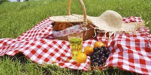 Picnic in the park \ud83e\uddfa
