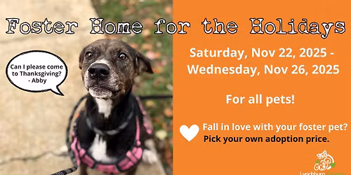 Foster Home for the Holidays Adoption Special