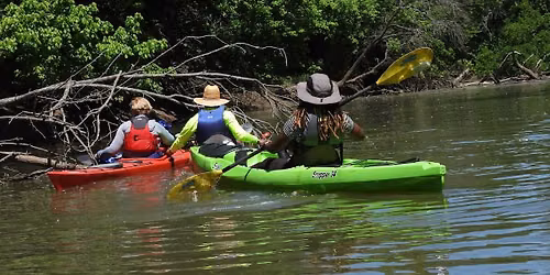 Wildlife \/Twilight Paddle | 2 Mile