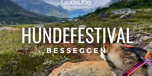 Hundefestival p\u00e5 Fjellet
