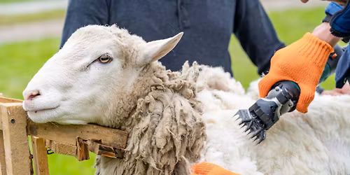 Spring Farm Day 2026