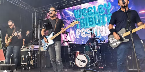 Punch it chewie! Live @woolpack coggeshall