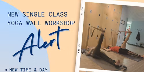Advanced Yoga Wall Workshop