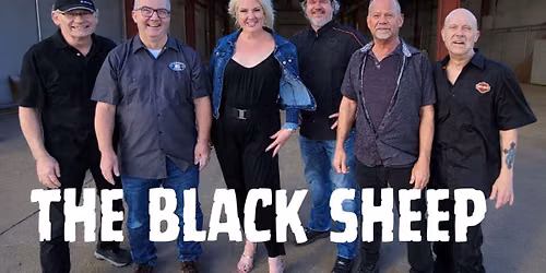 The Black Sheep- LIVE At Belfast Station