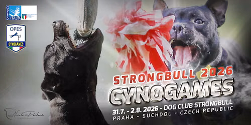 CYNOGAMES - STRONGBULL 2026