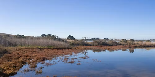 King Tides High Tide Hike at Elkhorn Slough Reserve