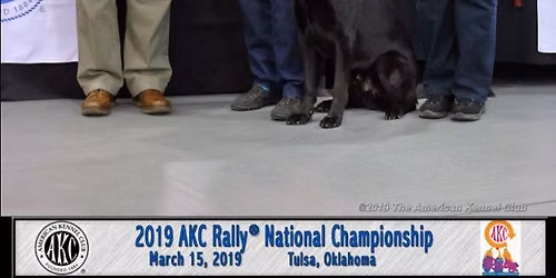 AKC Rally Handling Seminar - Getting Ready for the National Championships -